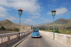 Vicuña bridge, chile