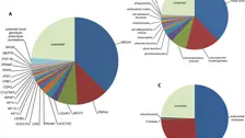 Potential novel genotype-phenotype correlations include variants in FAM161A, INPPSE, MERTK, FBLN5, SEMA4A and IMPDH1 (all n=1)