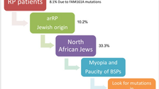 Unique combination of clinical features in a large cohort of 100 patients with retinitis pigmentosa caused by FAM161A mutations