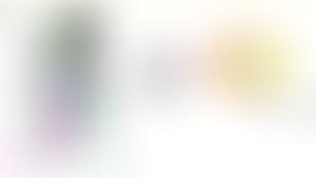 ARL2BP, a protein linked to retinitis pigmentosa, is needed for normal photoreceptor cilia doublets and outer segment structure