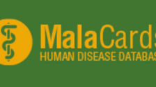 MalaCards: The human disease database