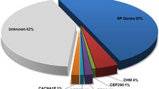 Mutation analysis in 129 genes associated with other forms of retinal dystrophy 
