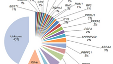 Mutation screening in genes known to be responsible for Retinitis Pigmentosa in 98 Small Han Chinese Families