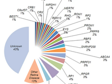 Mutation screening in genes known to be responsible for Retinitis Pigmentosa in 98 Small Han Chinese Families