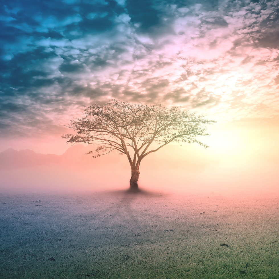 Magische spirituele boom met zachte gloed