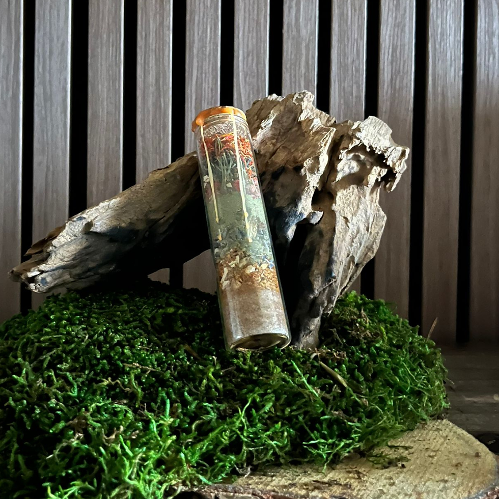 WiKa Spirit Tube First Quarter