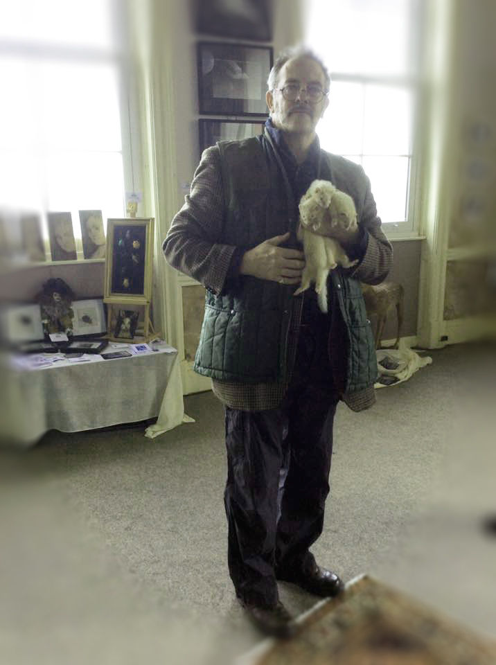 Ferrets-2