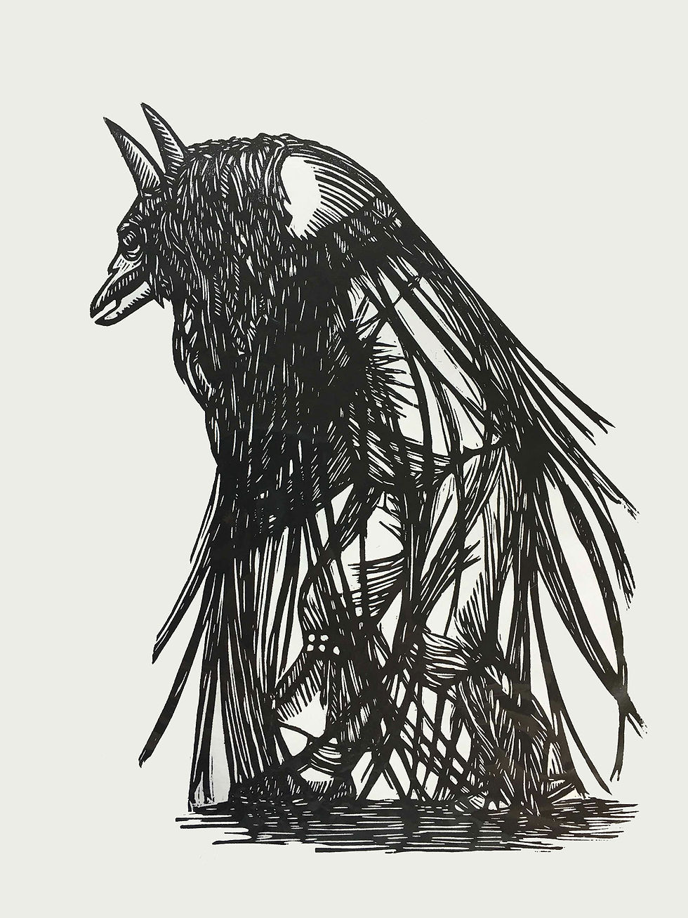 JEFFREY KNOPF