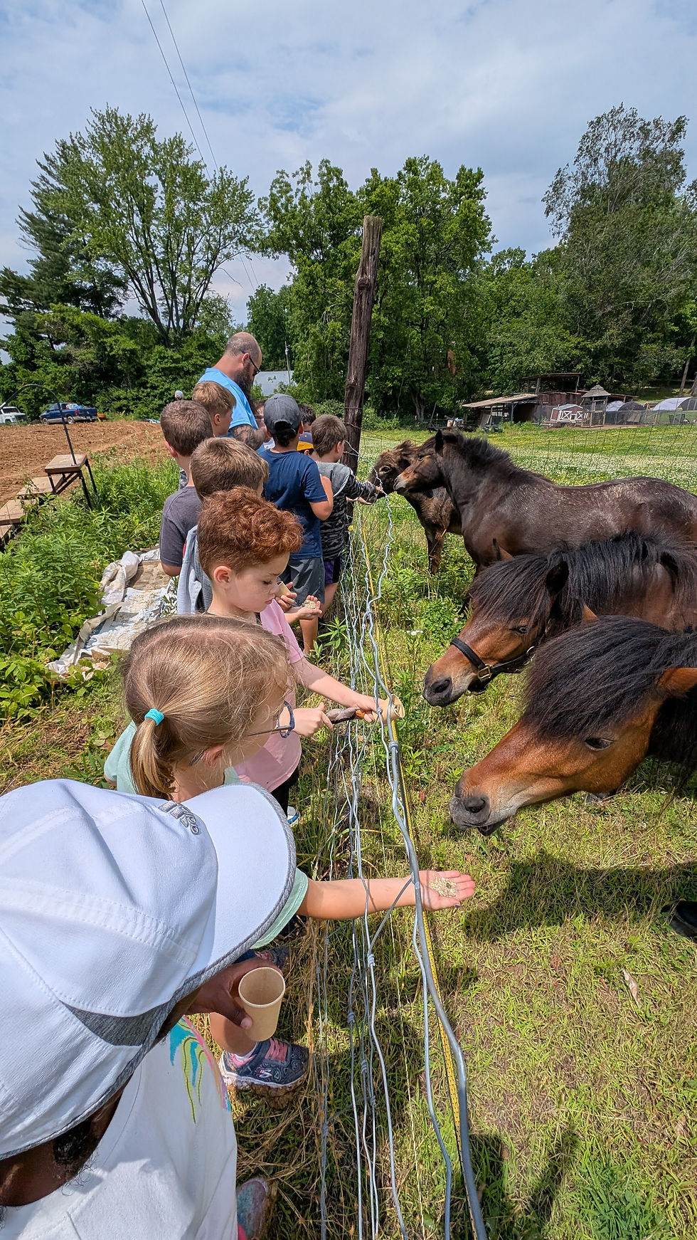 PXL_20250604_183149206.MP