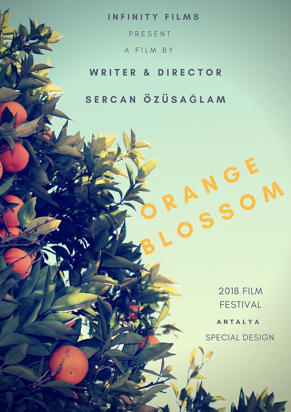 Orange Blossom(Portakal Çiçeği)