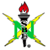 NSBE logo_remove background_edited.png