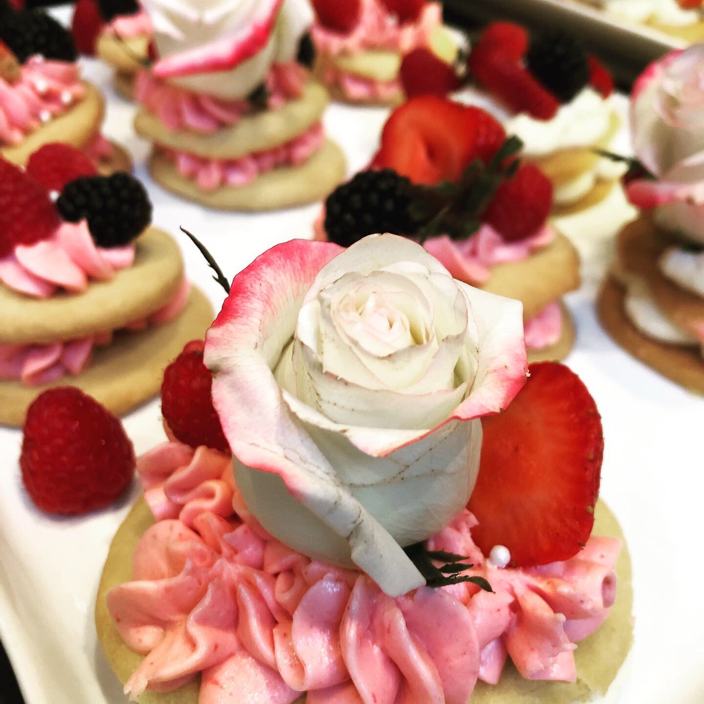 Arranged Food and Objects