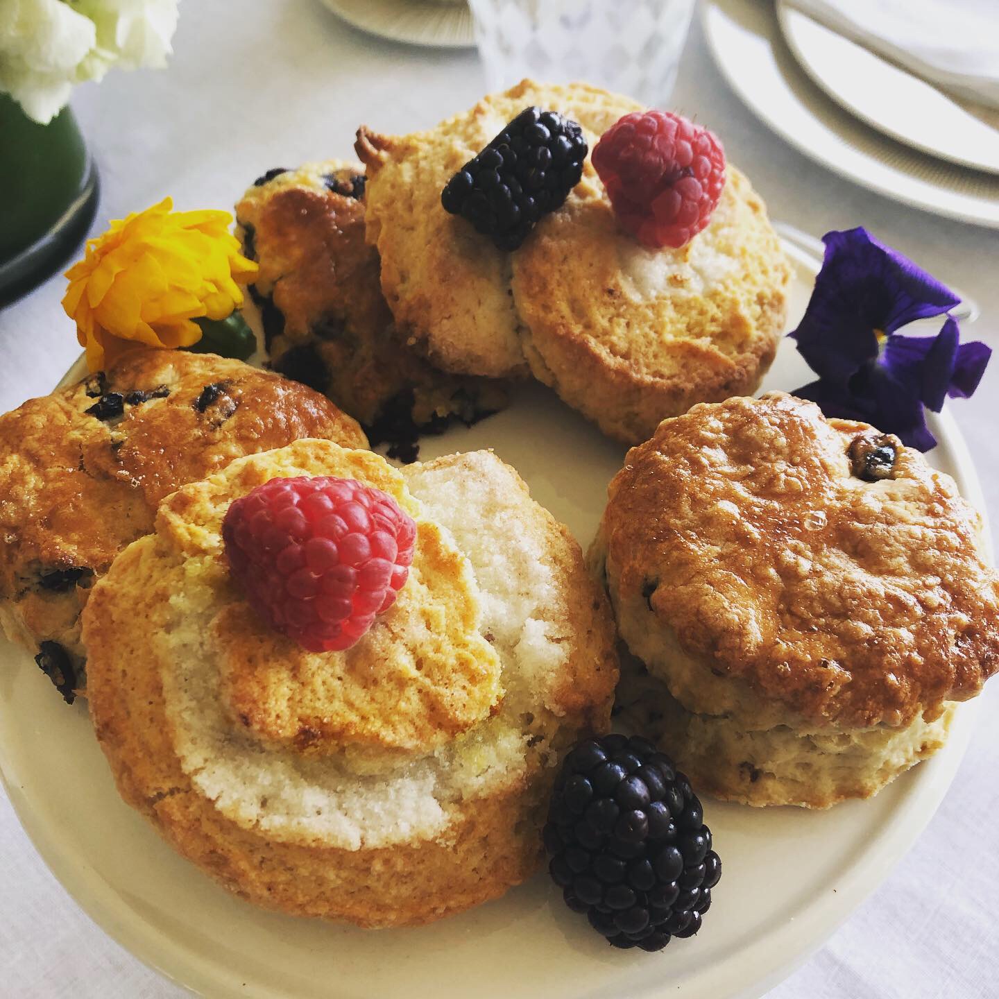 Arranged Food and Objects