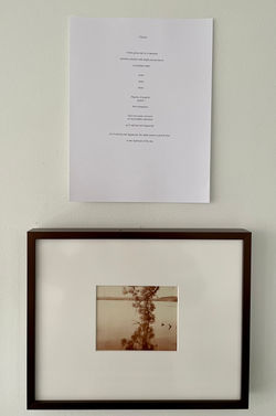 installation view