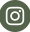 instagram (1).png