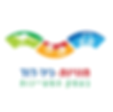 ניר דוד _שוליים.png