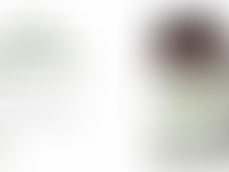 Tulsi Forest Honey online