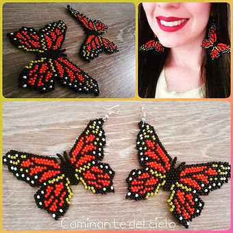 Aretes-C-300 (2).jpg