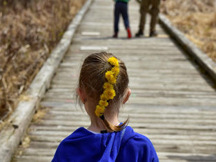 Boardwalk in Minden, ON