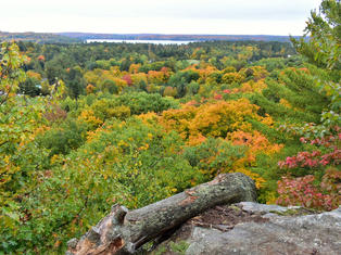 James Cooper Lookout Trail