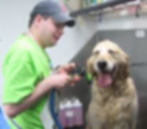 grooming wix.jpeg