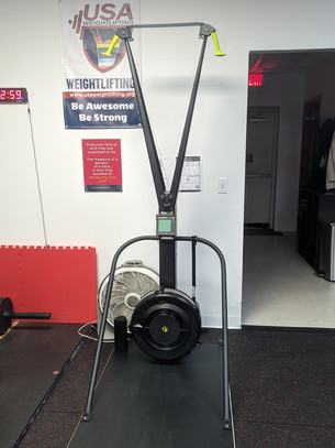 Skierg machine, wheelchair accessible platform