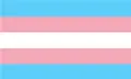 Transflag.webp