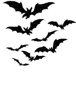 nataliruna-chabach