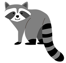 raccoon.png