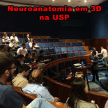Neuroanatomia na USP 3.jpg