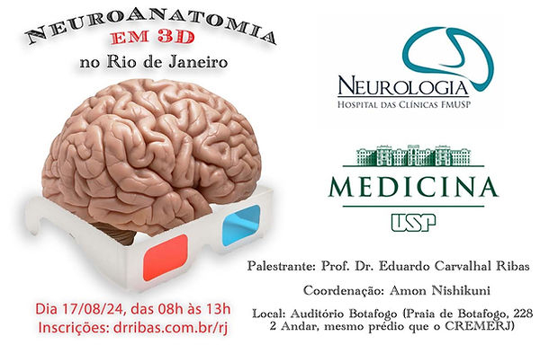Curso Neuroanatomia
