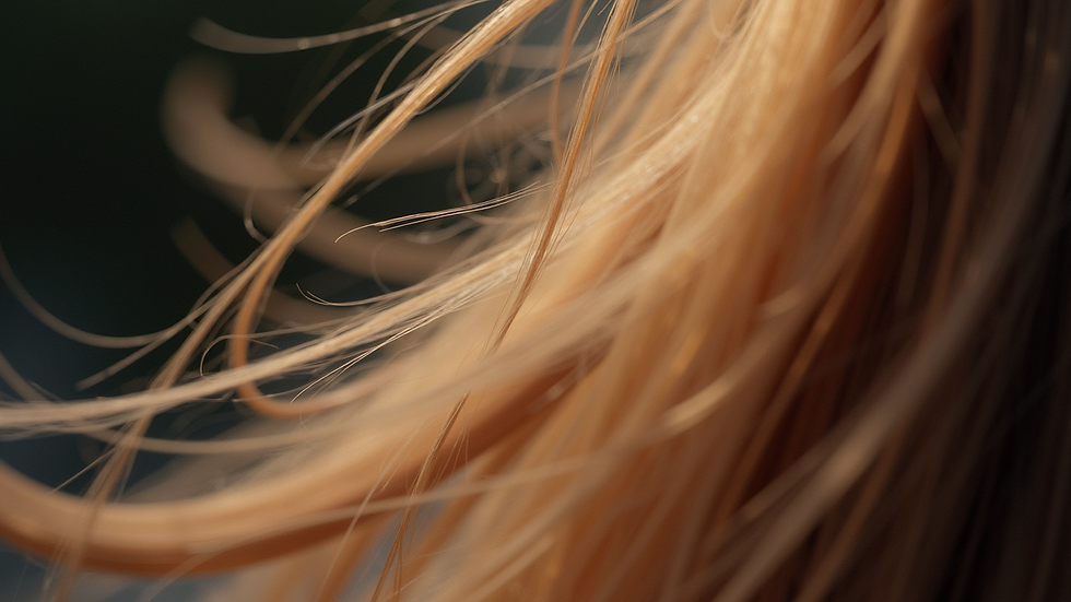 The Ultimate Partial Highlights Guide: Everything You Need to Know