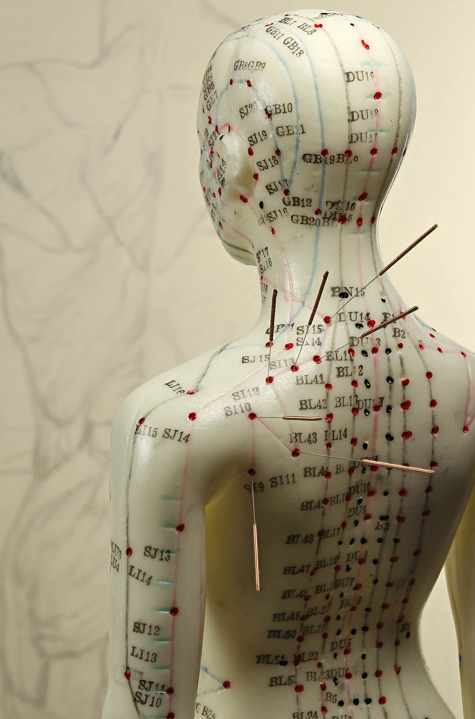 202606.needle.manican.v2.web.shutterstock_746547571.jpg