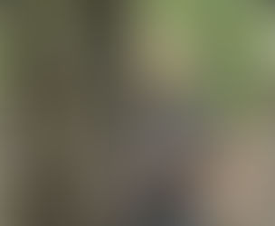 Missing Greenville County Man Found in Oconee County             