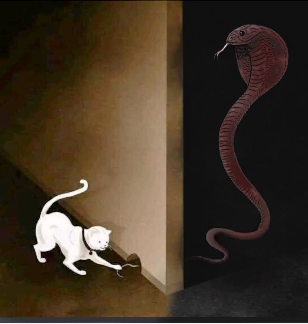 Sometimes what we think is safe is a lure into darkness.