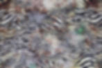Zebra silk fabric - tissu soie zebra - asamani fabrics