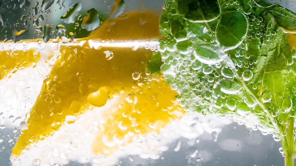 Where are used not only DAVINCI VALVES