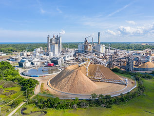 PAPER AND PULP INDUSTRY DAVINCI.jpeg