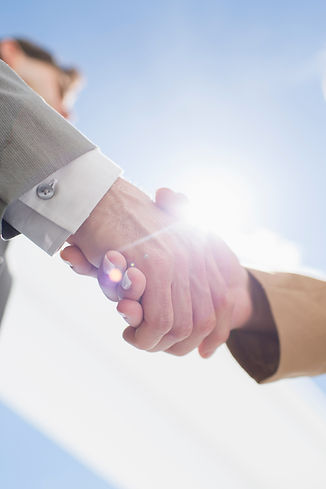 DAVINCI VALVES AGREEMENT.jpeg