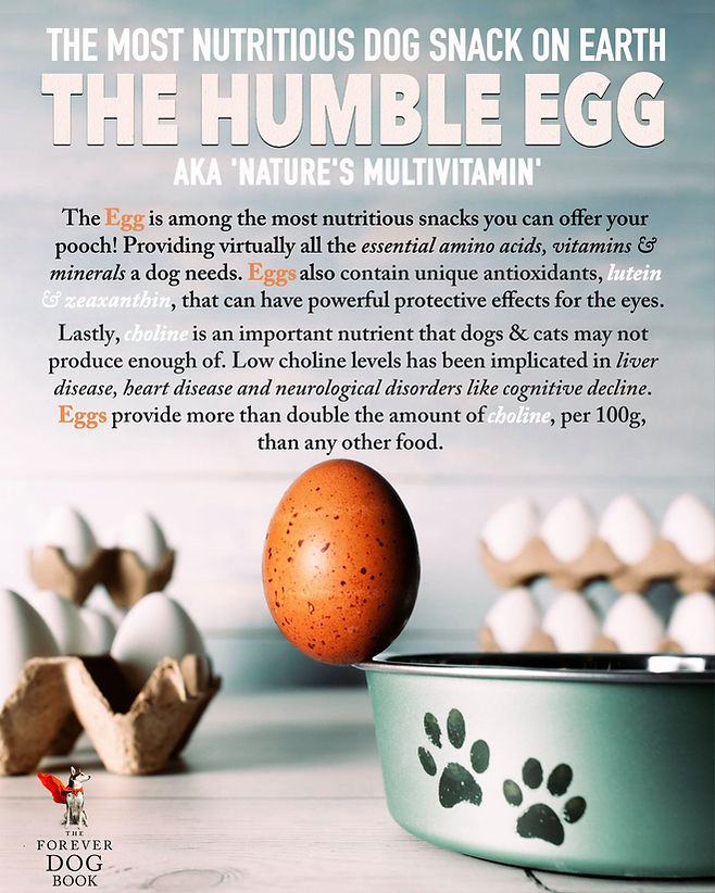 Egg.jpeg