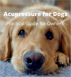Acupressure for dogs.png