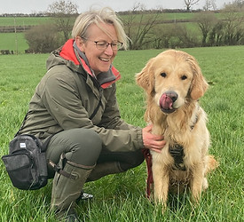 PhysioMyDog Burleigh