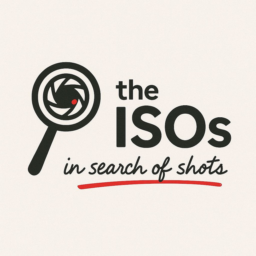 The ISOs Critique Session