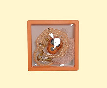 Orange Tasbih_clipped_rev_1.jpeg