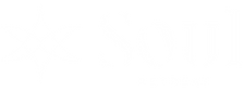 Logo SoulRetreat® WIT.png