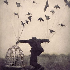 Nummer zevenentwintig