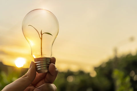 BMS Environmental - Solar - SolarWatt