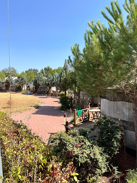 WhatsApp Görsel 2025-11-17 saat 00.35.44_022e2674.jpg