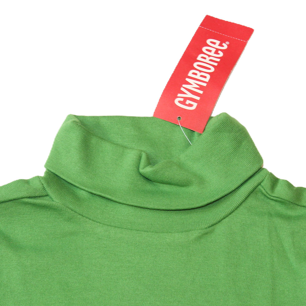 fresh green basic turtleneck top neck