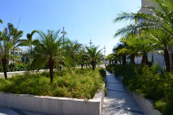 Ecoarte Paisagismo - Multiplan - Village Mall - 10.JPG